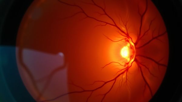 Comment la lumière rouge en photomodulation stimule la régénération